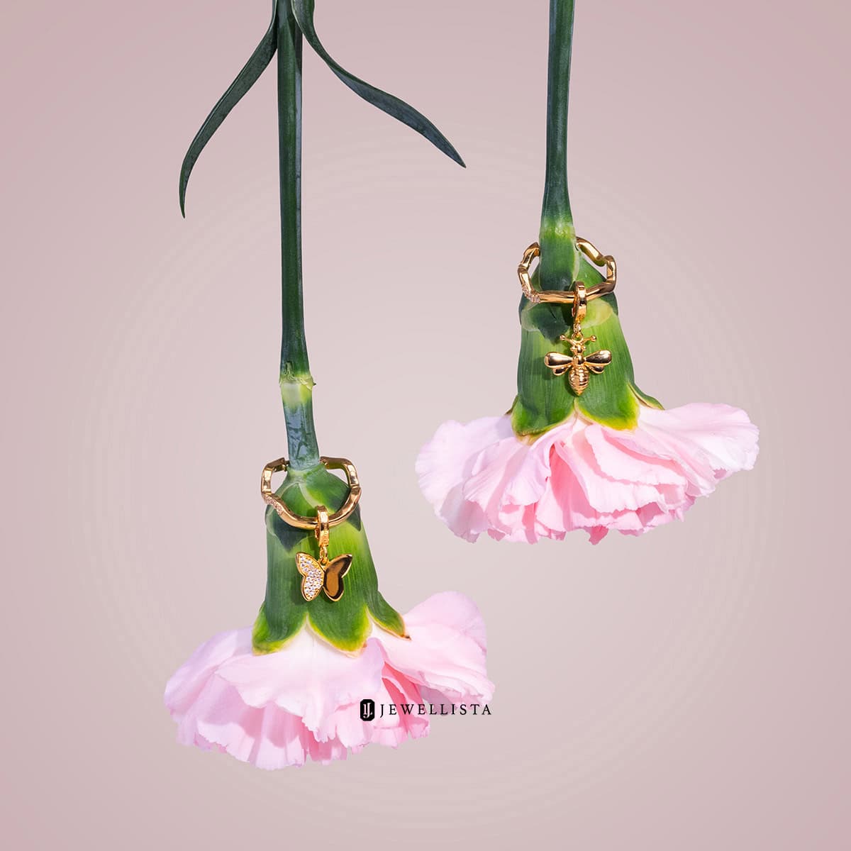 โฟกัสต่างหูห่วง